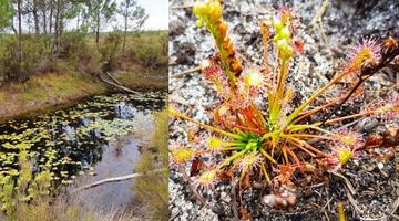 Ground-mounted solar park in southwest France